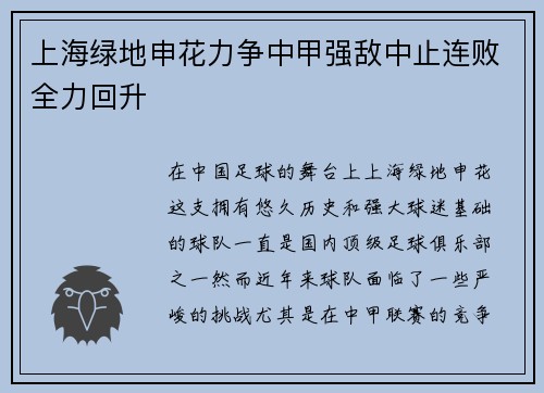 上海绿地申花力争中甲强敌中止连败全力回升