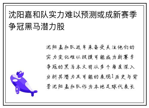 沈阳嘉和队实力难以预测或成新赛季争冠黑马潜力股