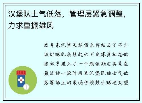 汉堡队士气低落，管理层紧急调整，力求重振雄风