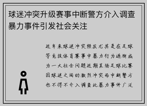 球迷冲突升级赛事中断警方介入调查暴力事件引发社会关注